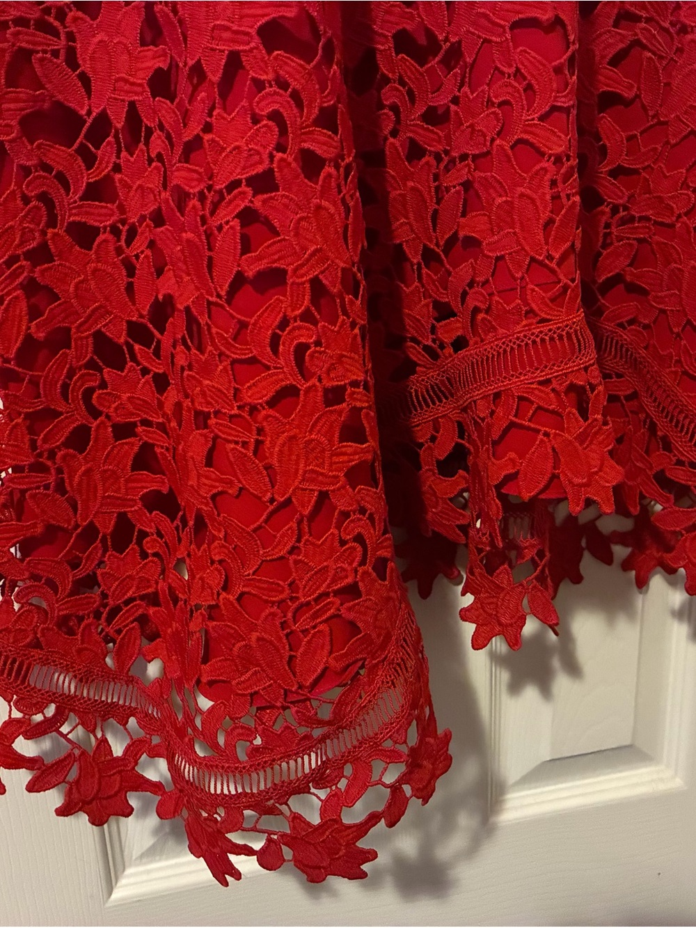 NORDSTROM Eliza J - Floral Asymmetrical Lace Dress In Red - Picture 6 of 6